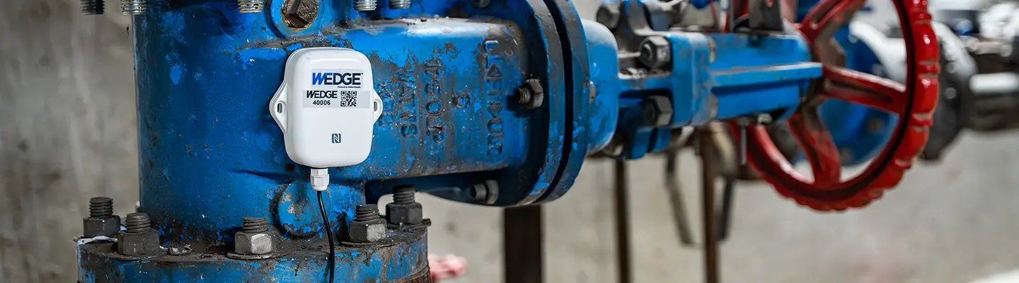 WEDGE leak detection