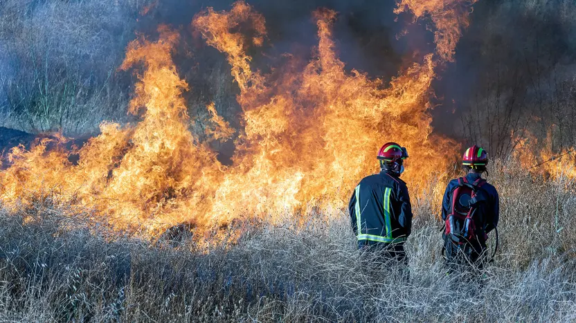 Two firefighters standing near a brushfire