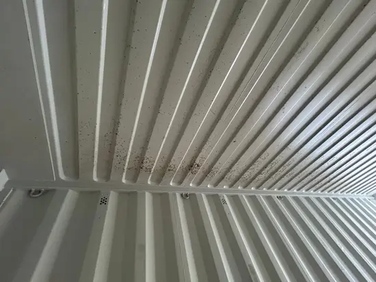 roof 3