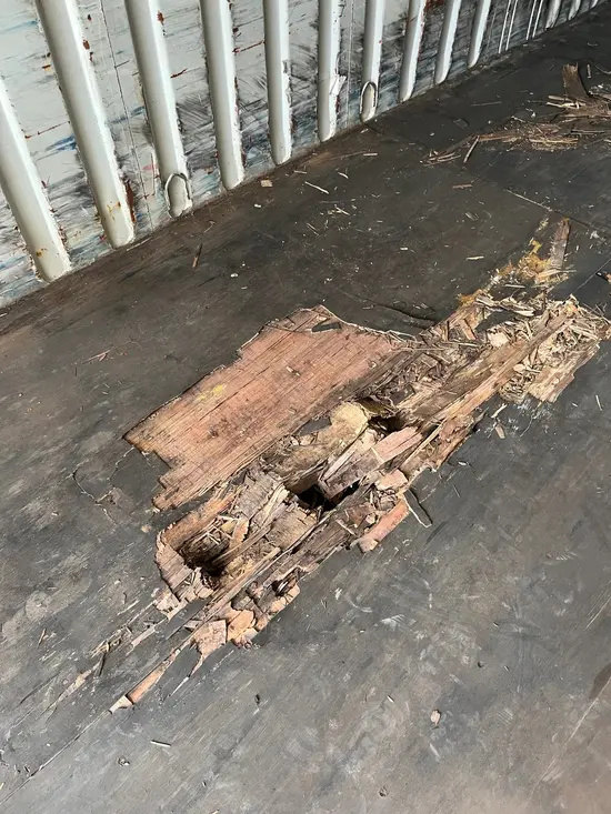floor damage