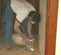 Silver ESSEX Edge Floor Sander, 5-7 in.