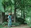 Orange, black and white STIHL Power Pruner Pole Saw, 7 ft.-11.6 ft. Reach, Gas Powered