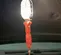 75W Incandescent Drop Light, 25-50 ft., 115V or 120V