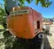 2019 Snorkel 660SJ Boom Lift