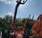 2017 SKYTRAK 6042 Forklift