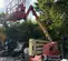 2015 JLG 450AJ Articulating Boom Lift