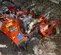2019 Ditch Witch C14 Trencher