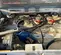 2019 Western Global 20TCG-GLB Fuel Tank