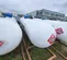 2016 Manchester Tank 1000G LPG TANKS Fuel Tank