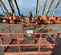 2017 JLG 600AJ Articulating Boom Lift