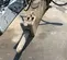 2019 FURUKAWA K-FX175QTV Attachment
