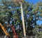 2017 Snorkel TB86J Boom Lift