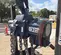 2015 JD NEUHAUS PROFI 37.5/50 Hoist