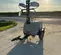 2022 Wacker Neuson LTV6L Portable Light Tower