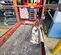 2016 Skyjack SJIII3219 Scissor Lift