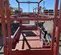 2018 Skyjack SJIII3219 Scissor Lift