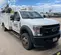 2019 Ford F550REGXLD4WD