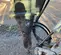 2019 Wacker Neuson HB36 Attachment