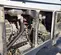 2022 Wacker Neuson G50 T4F Diesel Generator