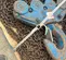 2013 Ingersoll Rand VL2-200-30-28V Hoist