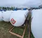 2016 Manchester Tank 1000G LPG TANKS Fuel Tank